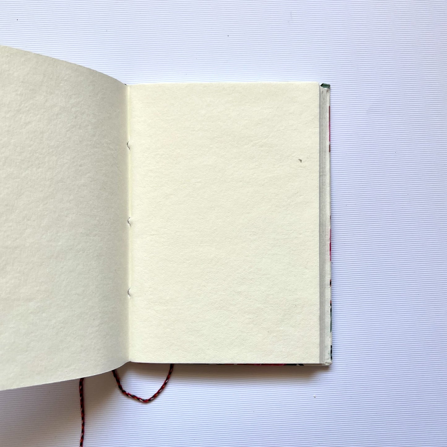 Blossom Branch Off White Diary opened to show handmade paper pages