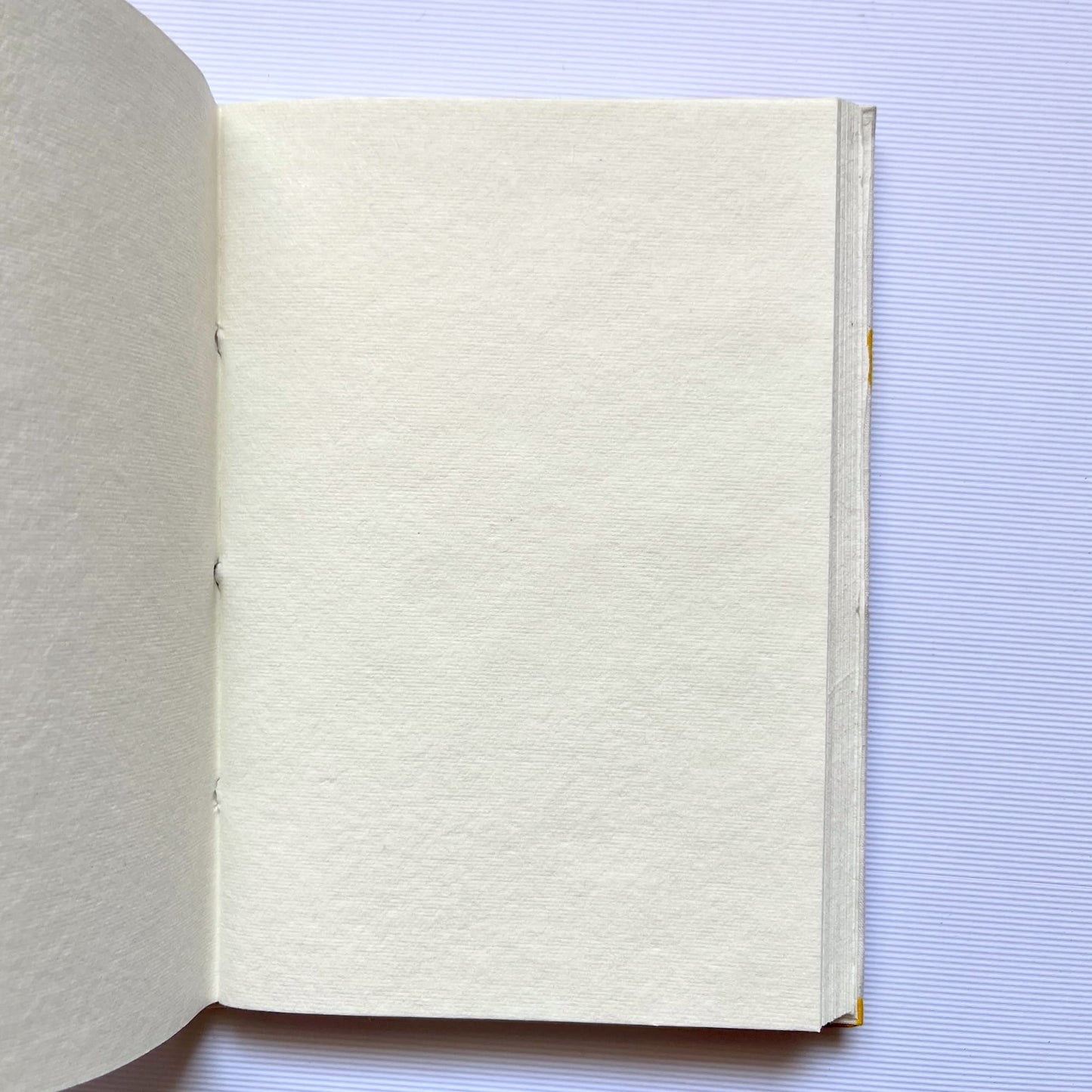 Berry Stripe Pink Diary opened to show handmade paper pages